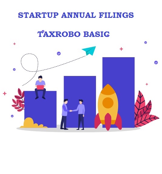 Startup Annual Filings - Basic Package